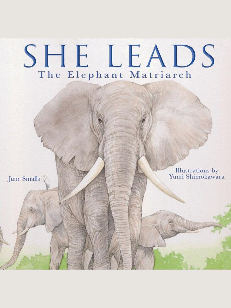 She Leads: The Elephant Matriarch