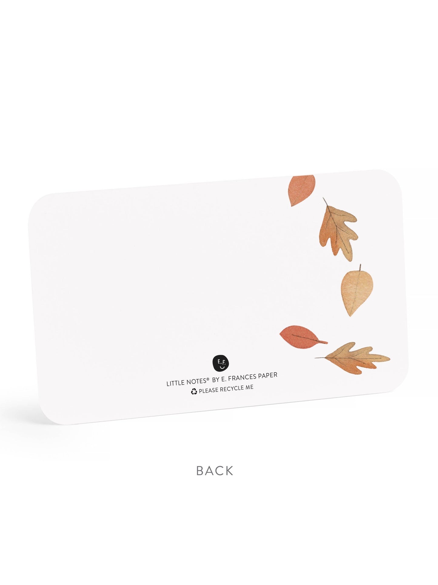 Falling Leaves Little Notes® | Autumn Fall mini notes
