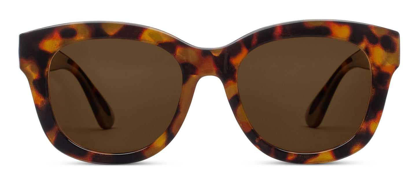 Center Stage (Reading Sunglasses): Tortoise