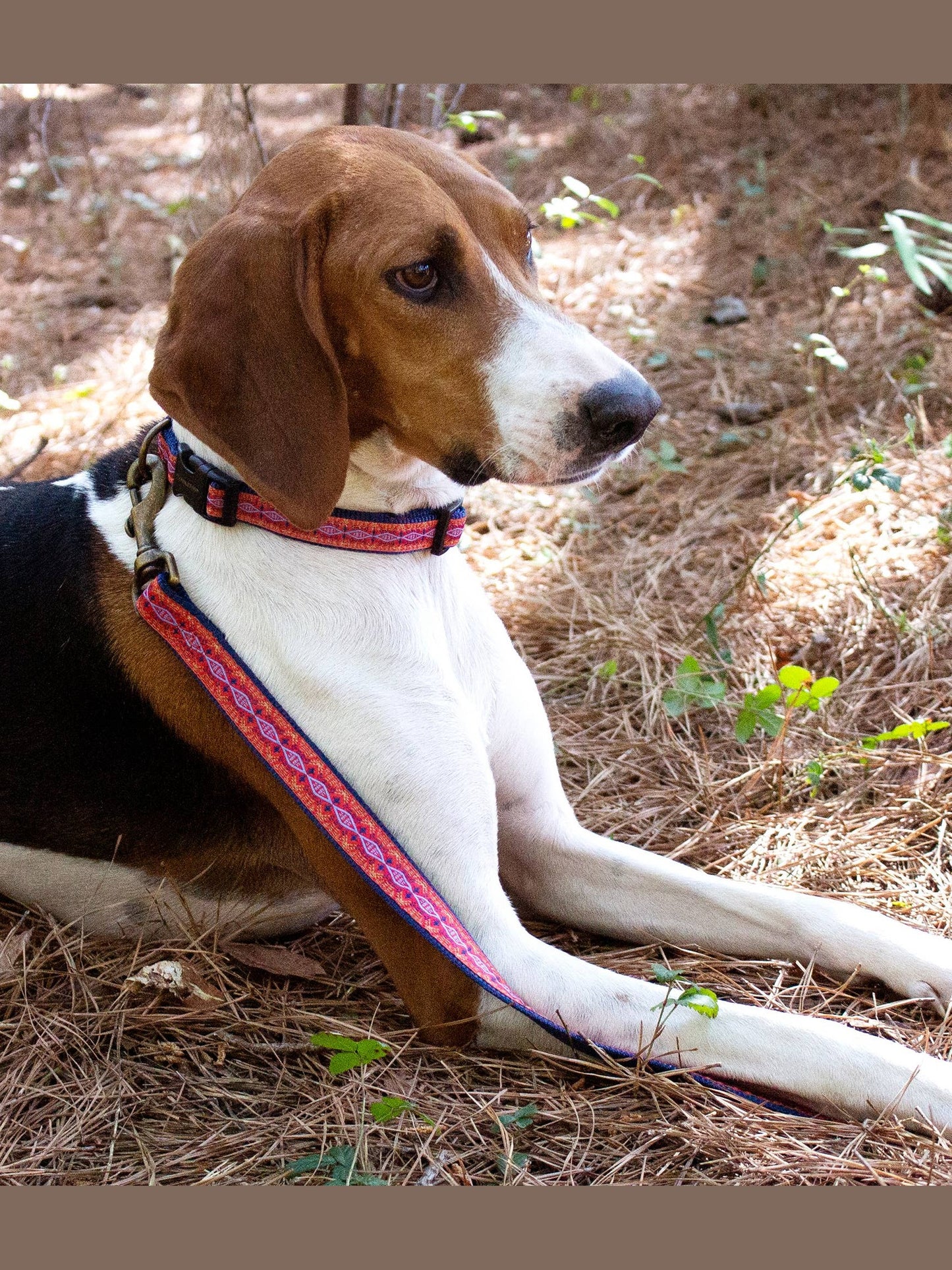Pendleton Pet Classics Adjustable Dog Collar: Diamond River Scarlet / Small