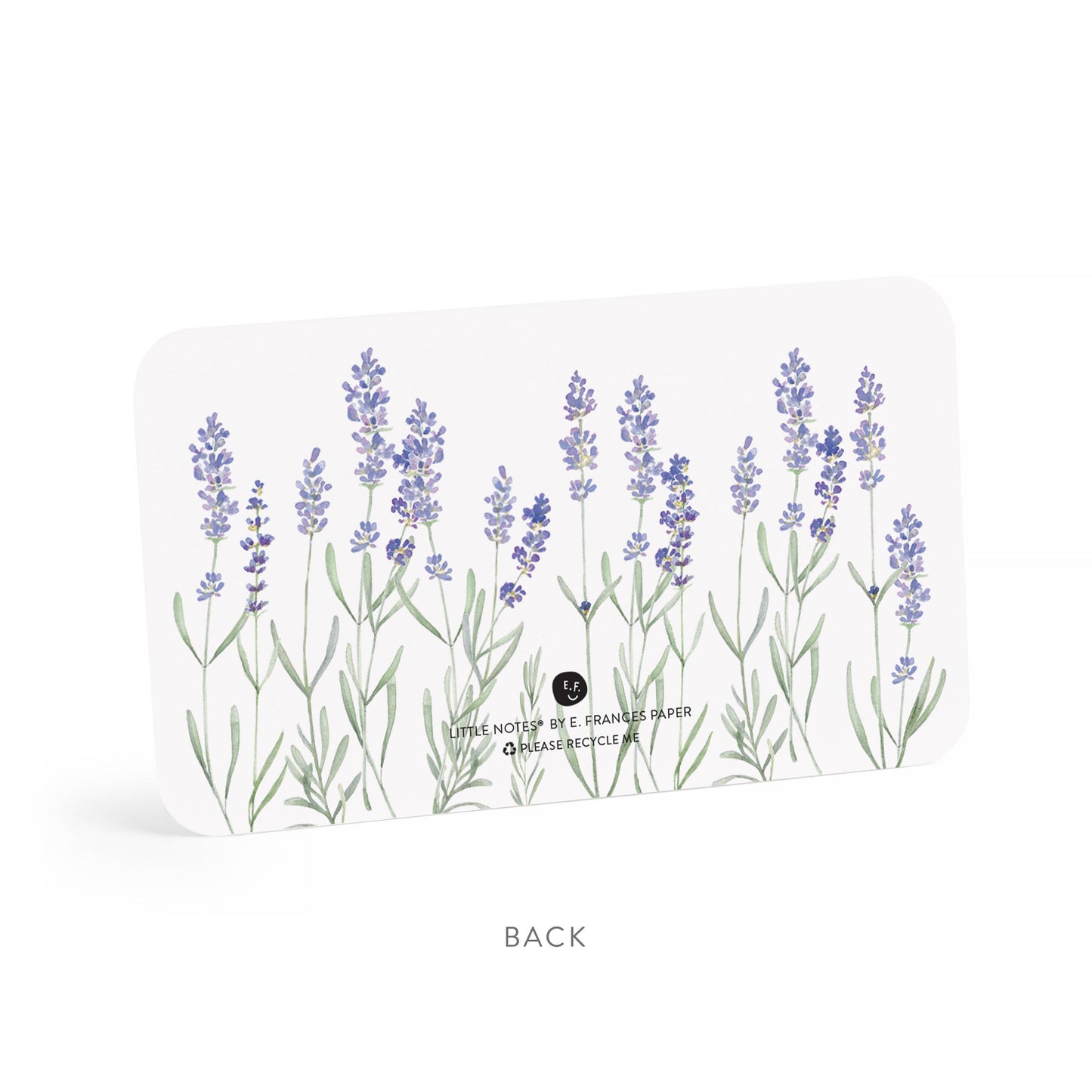 Lavender Little Notes® – Mini Notecard Pack, Set of 55