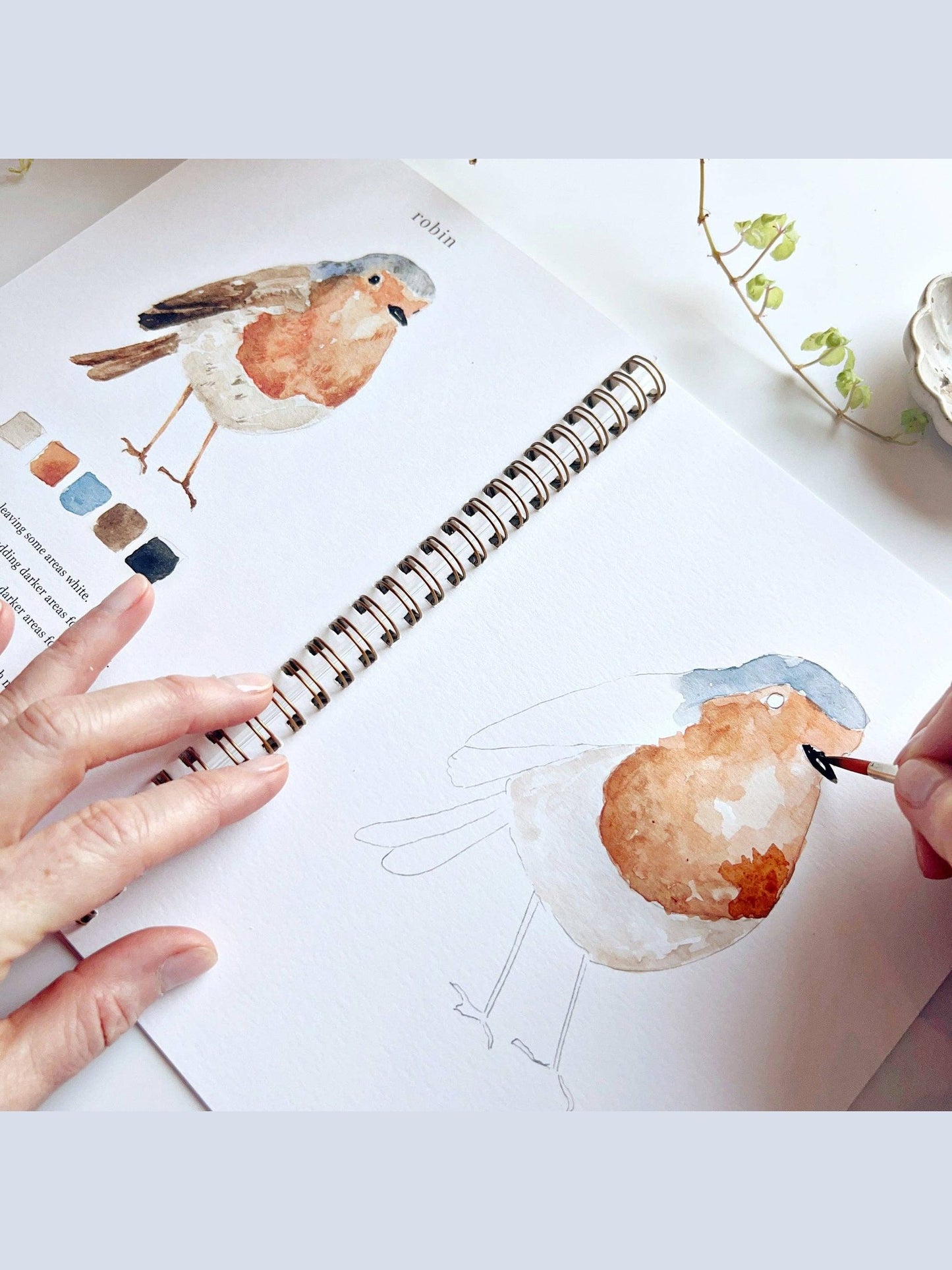 Birds watercolor paint workbook