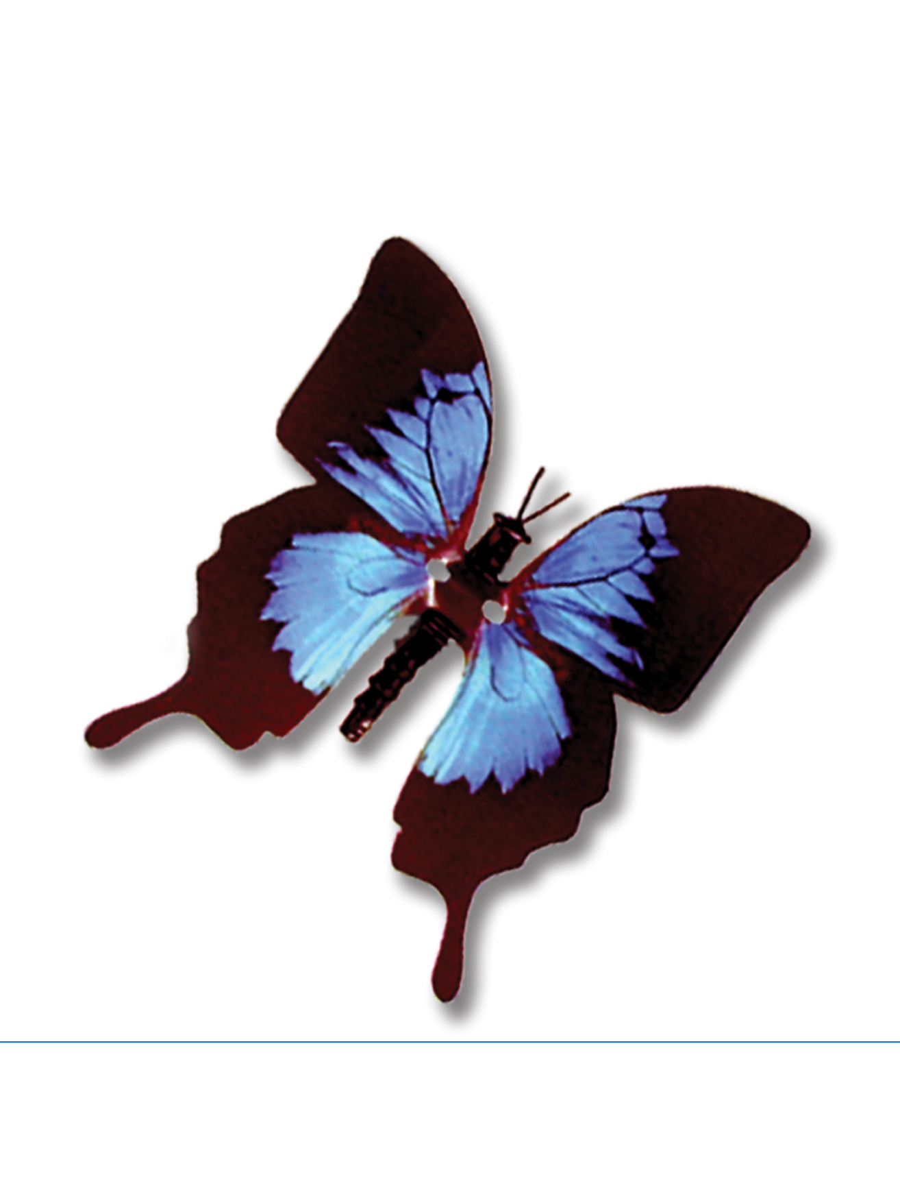 Blue Emperor Butterfly with moving wings