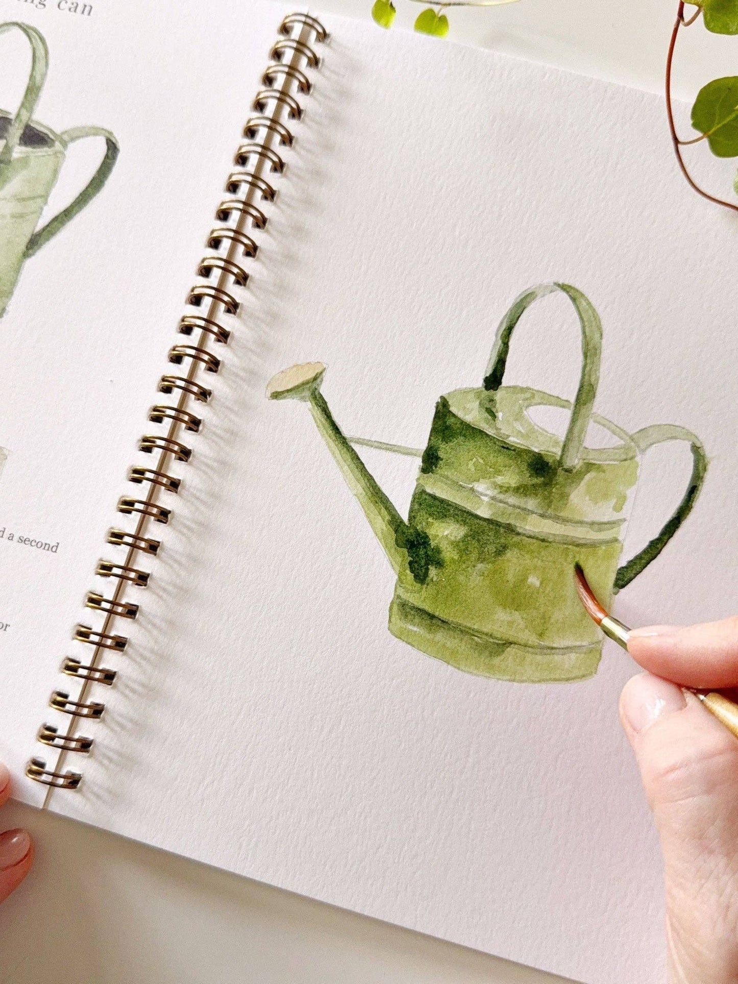 Garden watercolor workbook
