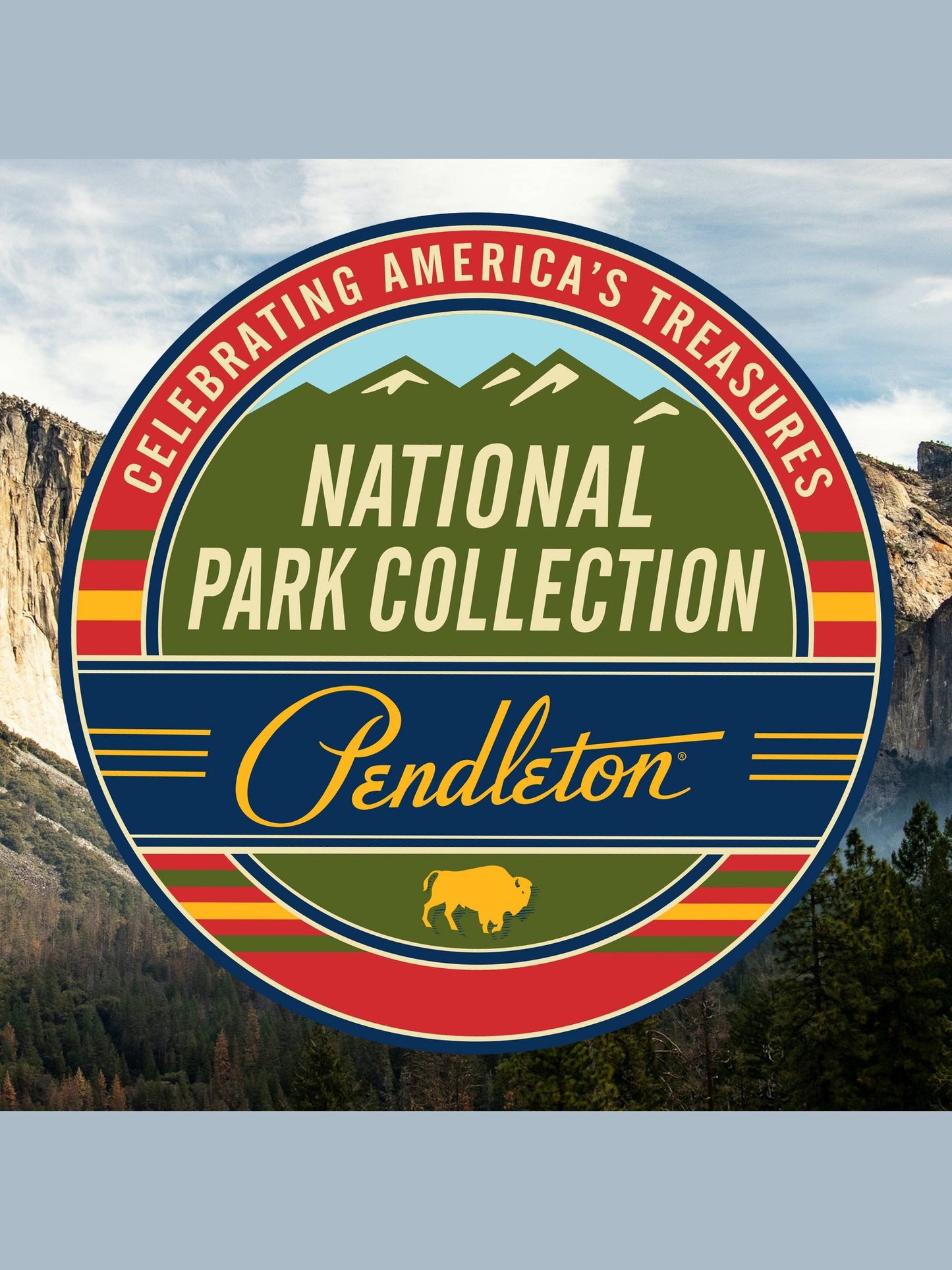 Pendleton Pet National Park Adjustable Hiker Dog Collar: Mount Rainier / Medium
