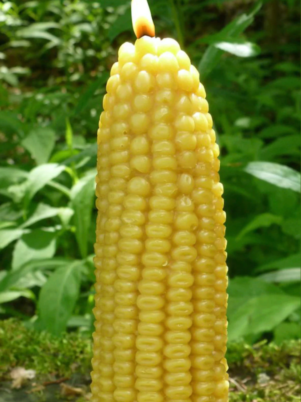 ESH Corncob 100% Beeswax Candle
