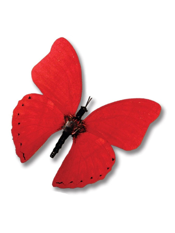 Sangaris Butterfly with moving wings