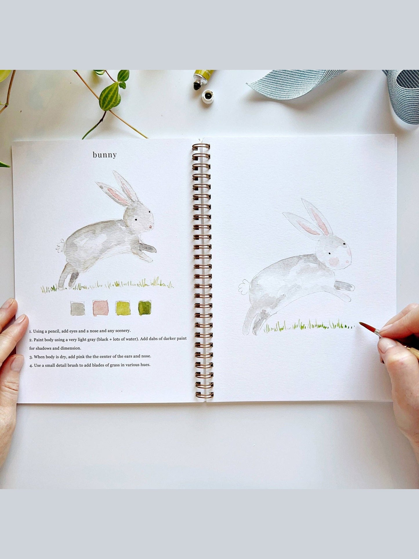 Animals watercolor workbook