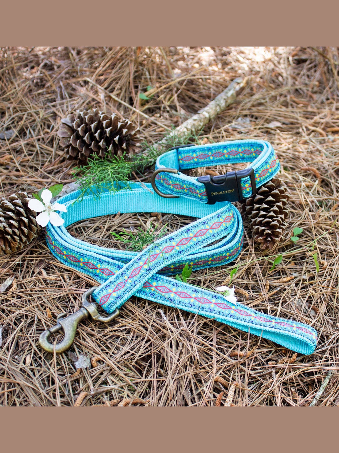 Pendleton Pet Classics Adjustable Dog Collar: Diamond River Turquoise / Small