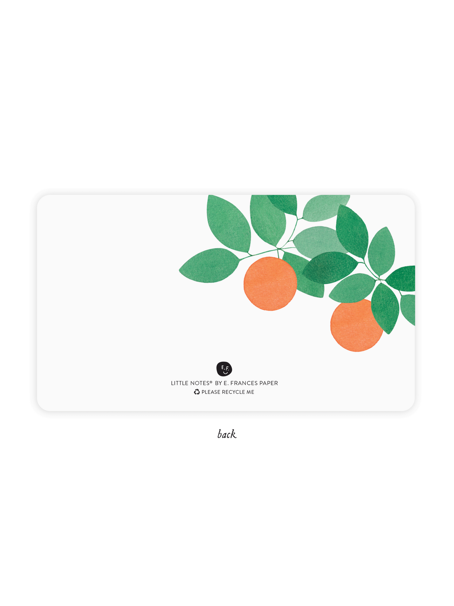 Orange Grove Little Notes®