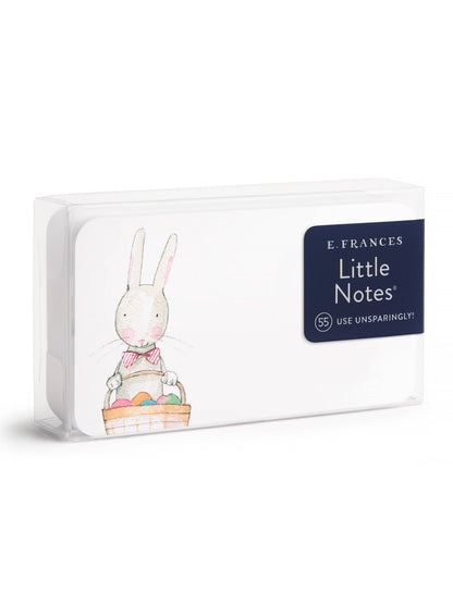 Easter Bunny Little Notes® NEW 55 Count