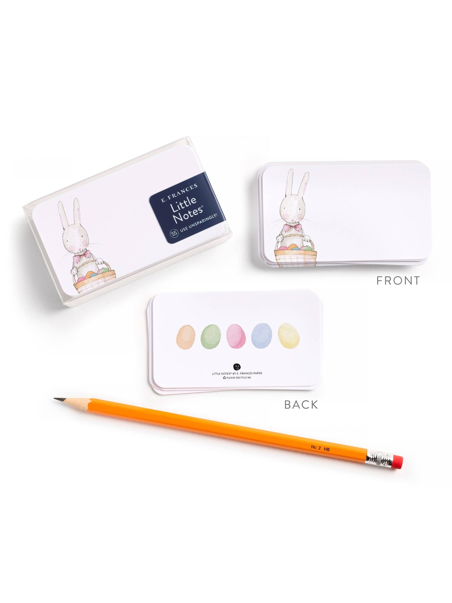 Easter Bunny Little Notes® NEW 55 Count