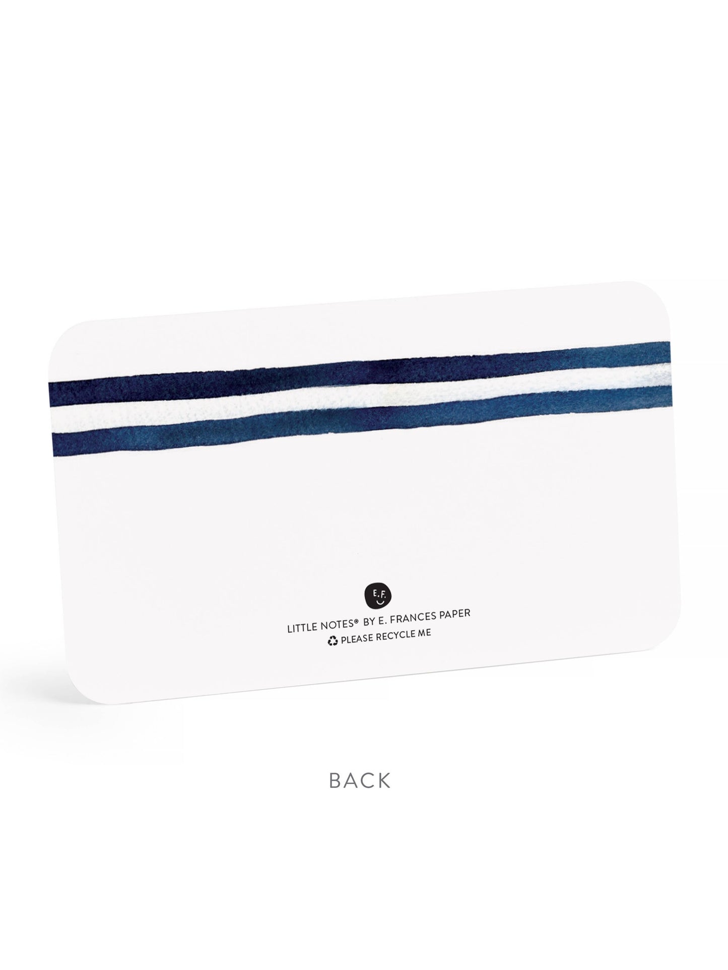 Knotty Little Notes® NEW 55 Count