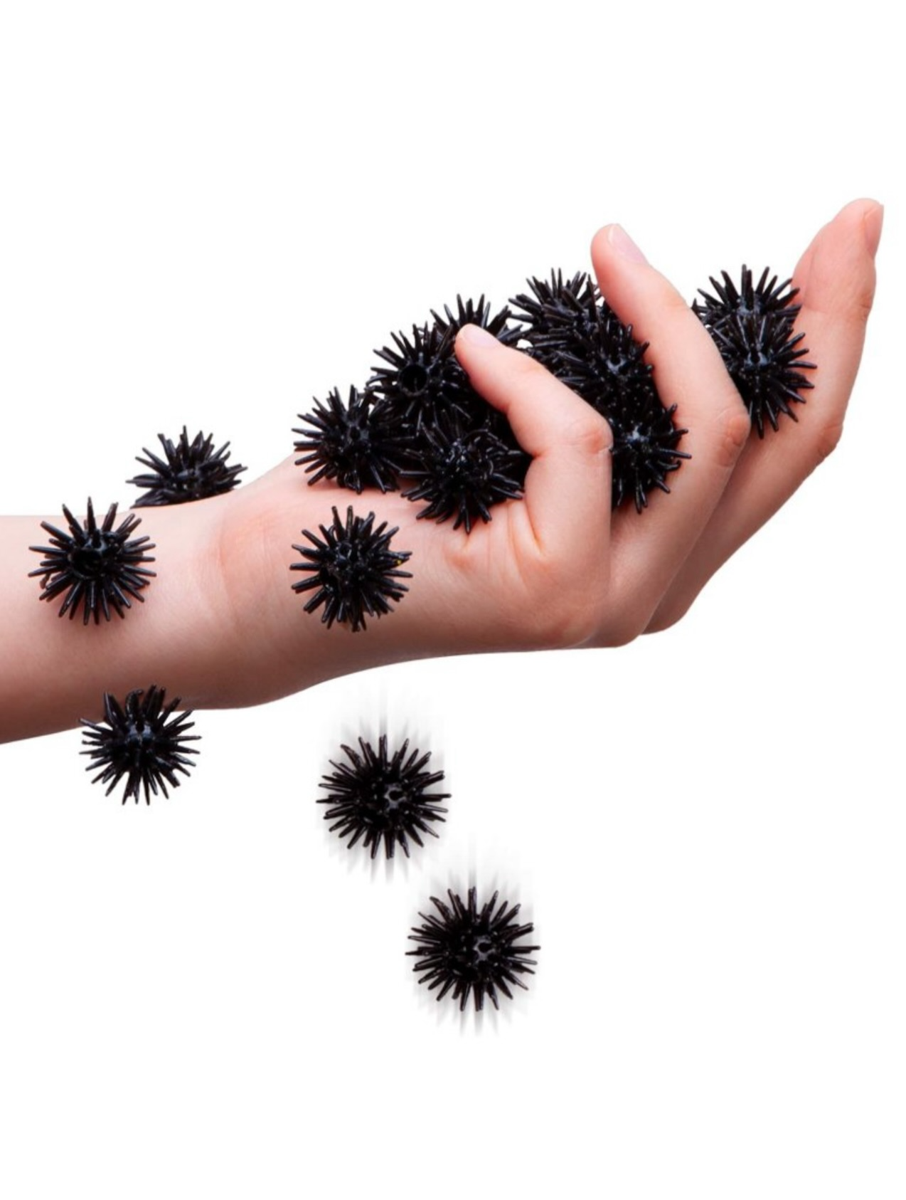Creepy Crawly Scritters