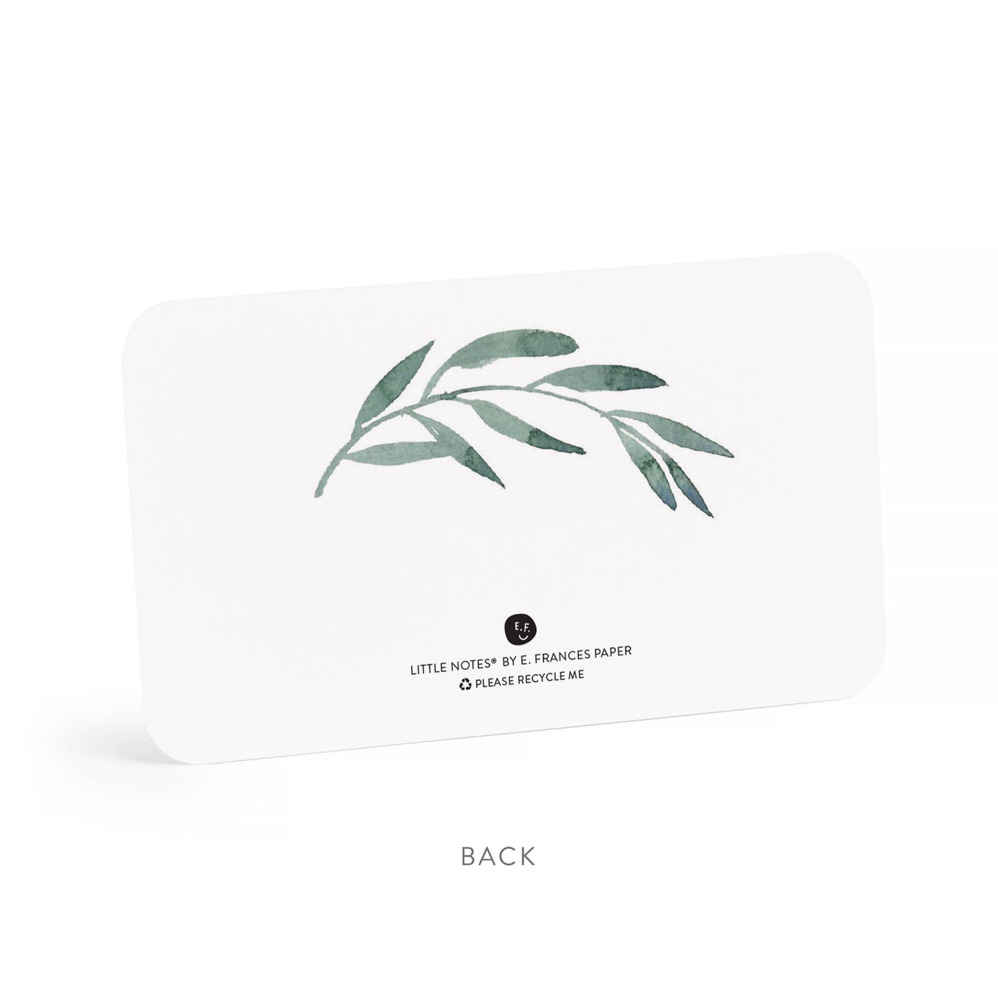 Olive Branches Little Notes® – Mini Notecard Pack, Set of 55