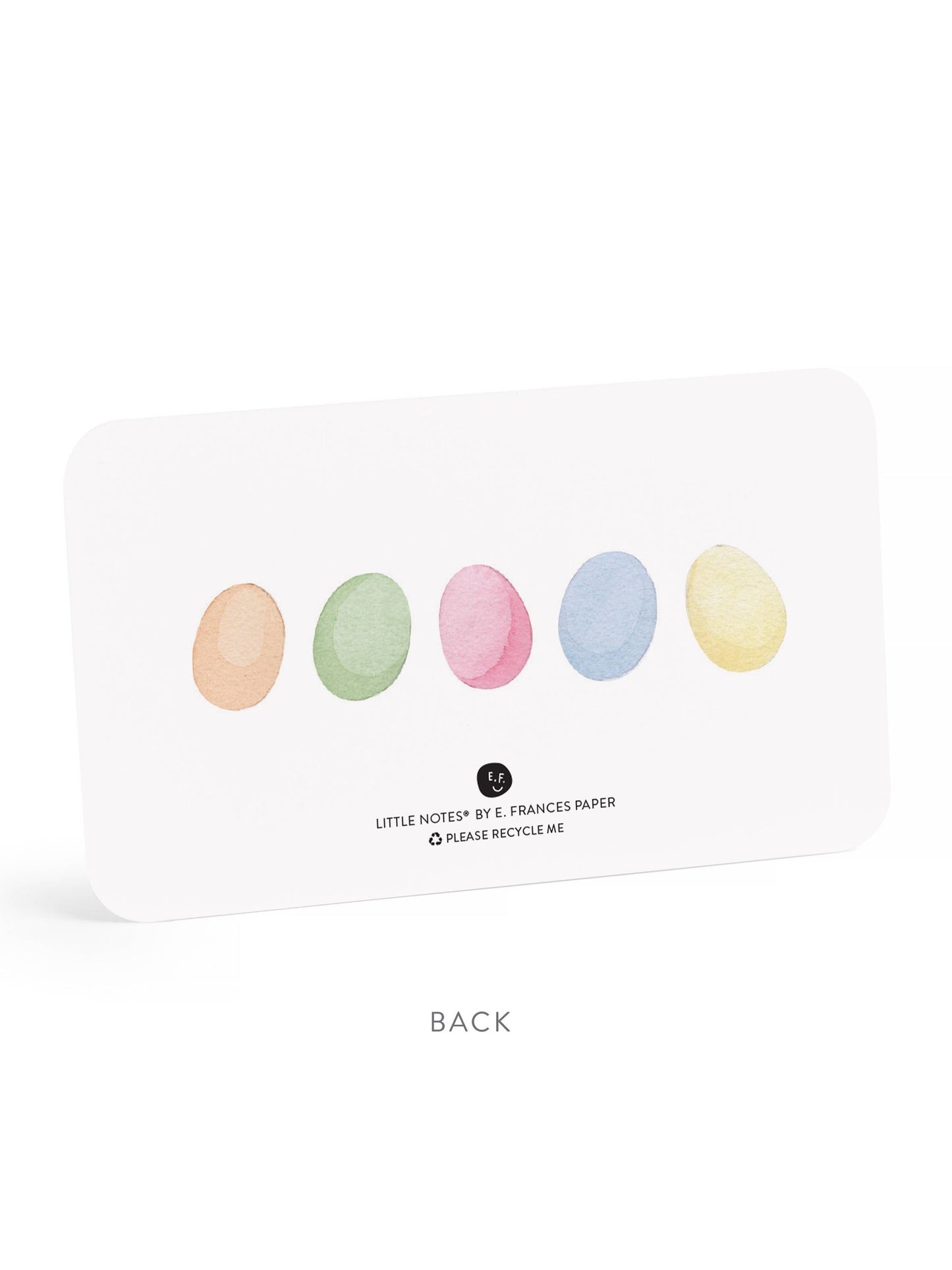 Easter Bunny Little Notes® NEW 55 Count