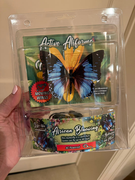 African Bluewing Butterfly with moving wings