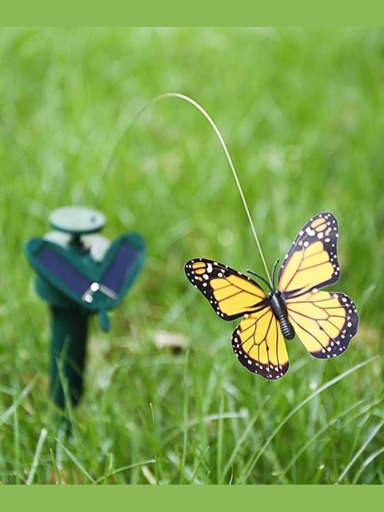 Solar Butterfly