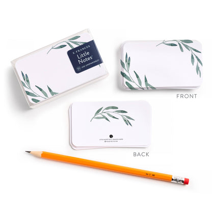 Olive Branches Little Notes® – Mini Notecard Pack, Set of 55