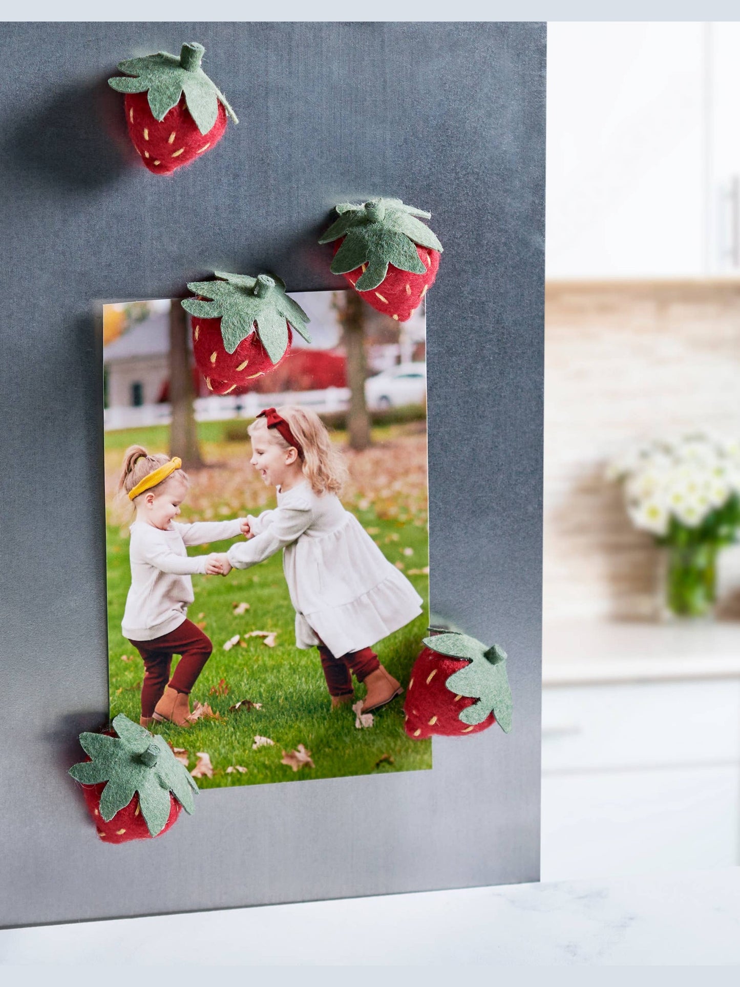 Strawberry Magnet Set