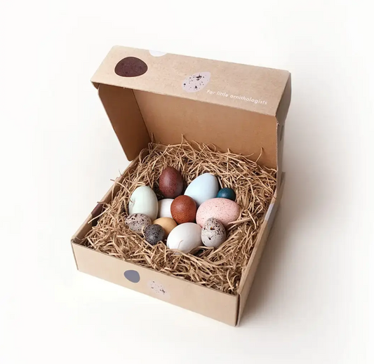 A Dozen Wooden Bird Eggs in A Box