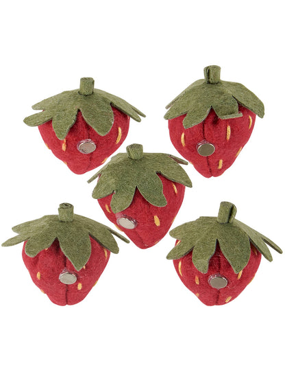 Strawberry Magnet Set