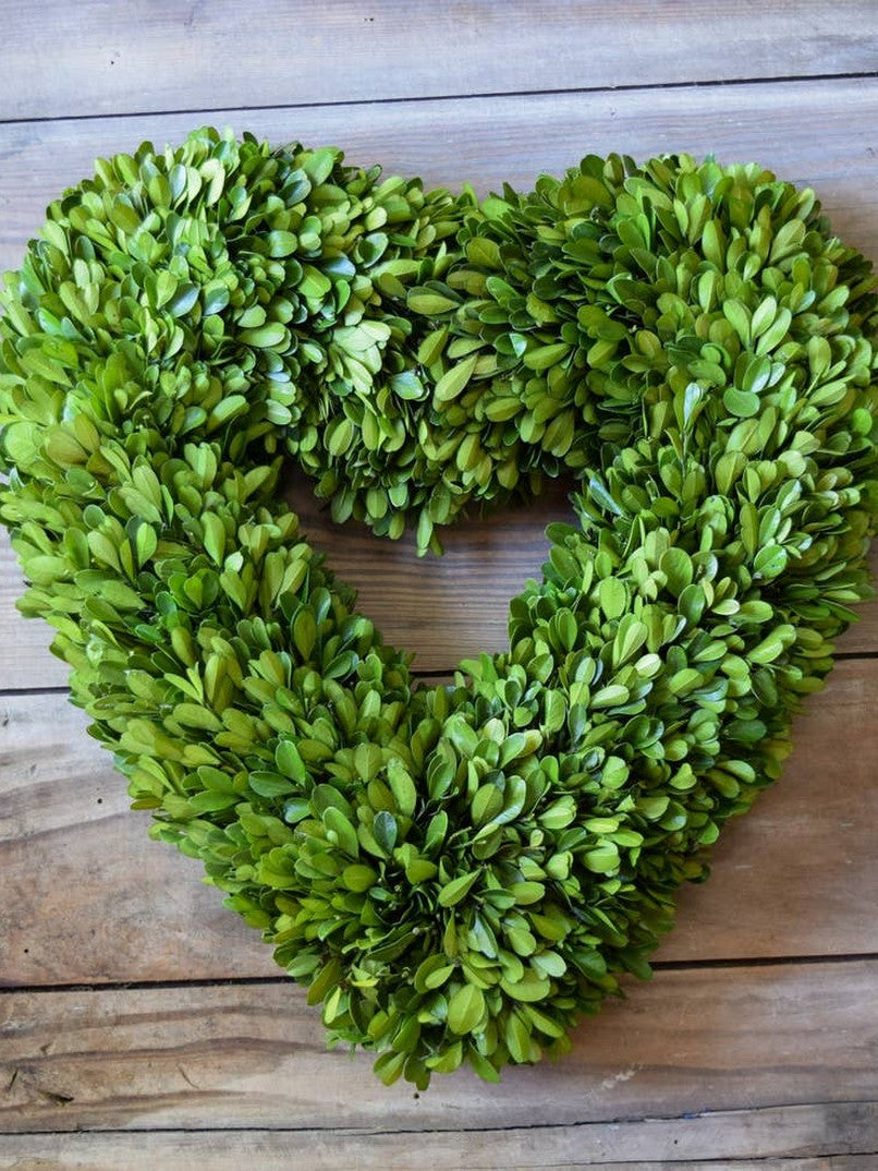 Preserved Boxwood Heart Wreath - 16 Inch