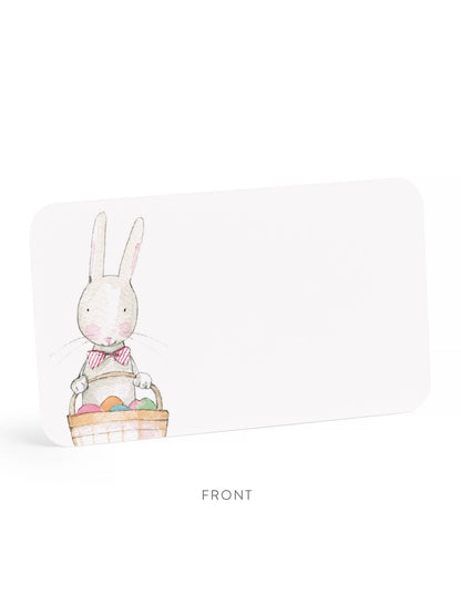 Easter Bunny Little Notes® NEW 55 Count