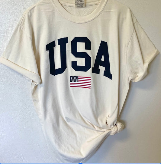 Ivory USA T Shirt (XL)